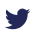 ant-design:twitter-outlined
