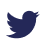 ant-design:twitter-outlined