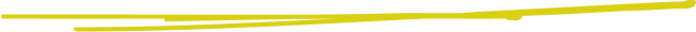 Vector 190 (Stroke)