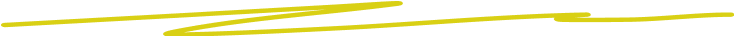 Vector 204 (Stroke)