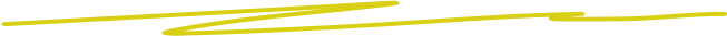 Vector 204 (Stroke)